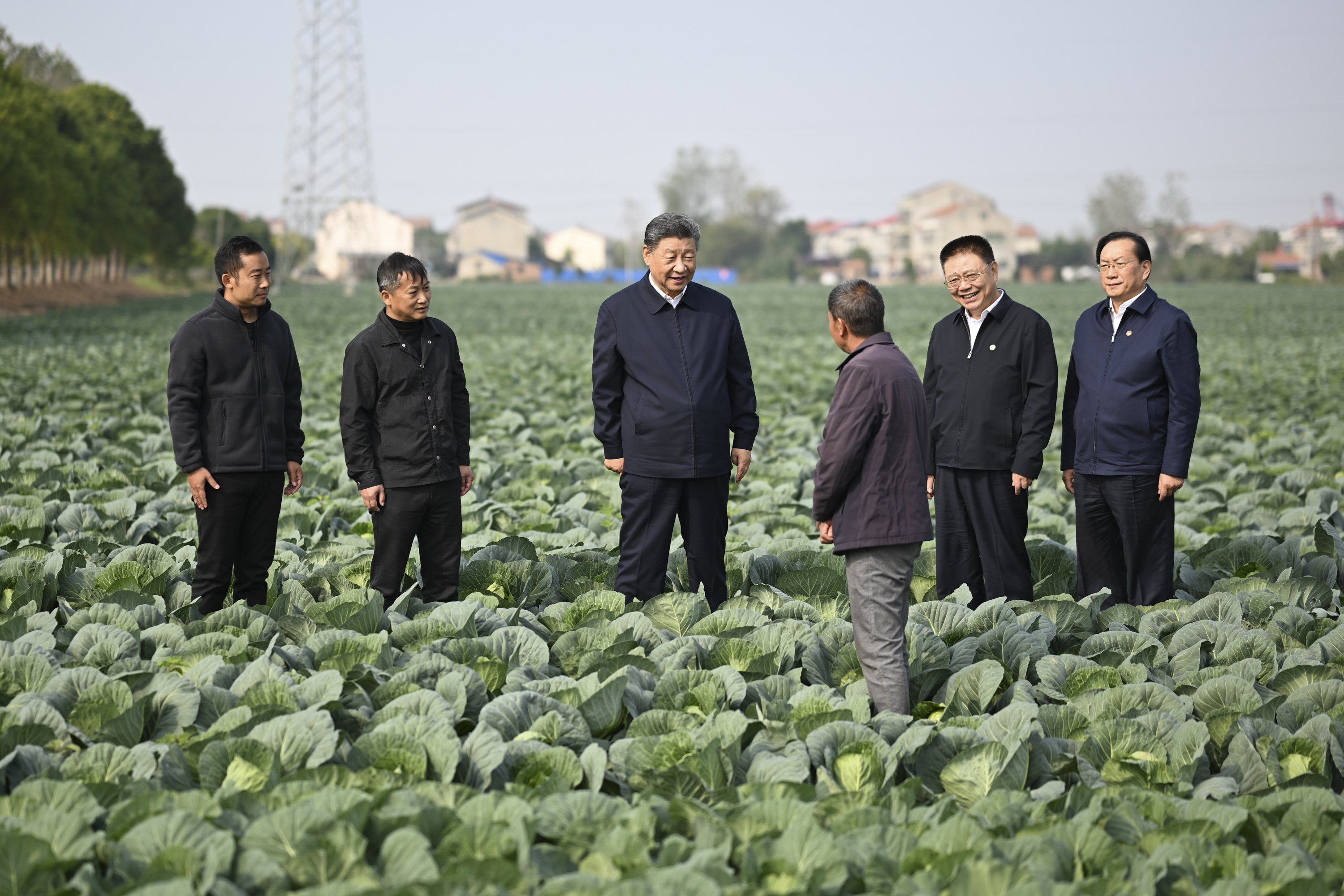 这是5日上午，习近平在咸宁市嘉鱼县潘家湾镇十里蔬菜长廊考察时，同菜农亲切交流。